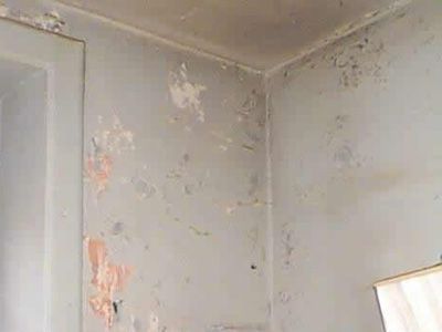 plomb peinture mur decrepi