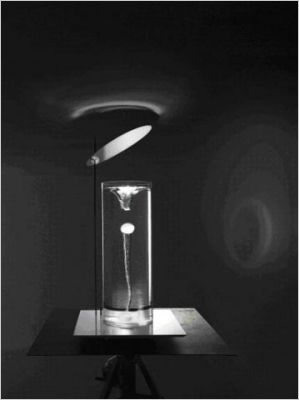 10 objets design en Corian 10 objets design en Corian
