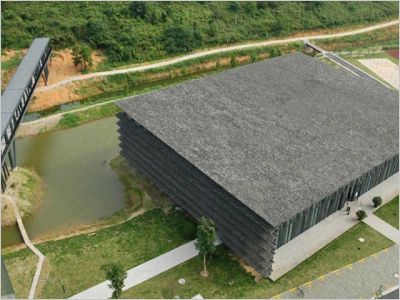 Wang Shu \"l’amateur\", la Chine et l’architecture