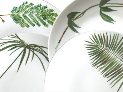 tralalart collection foret primitive