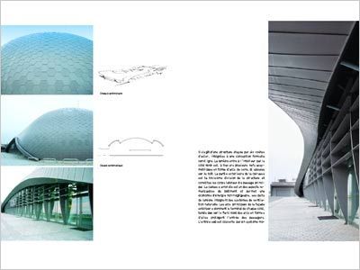 archi animale 2