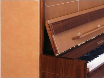P118 cuir pleyel
