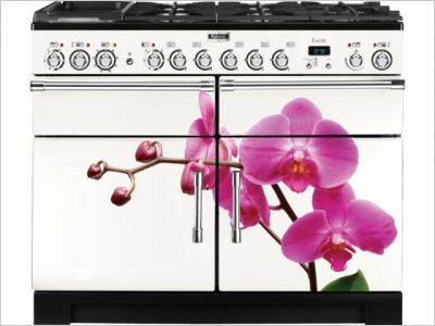 mod�le floral - Falcon