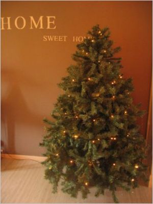 sapin C�line Roger