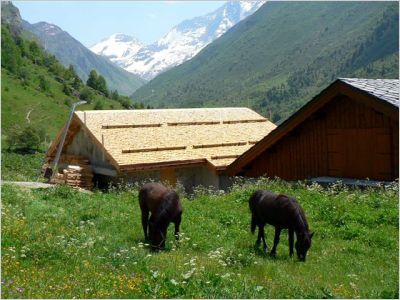 St�phane Becq - tavaillons