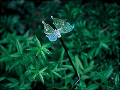 Shopping solaire nature & d�couverte