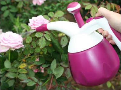 shopping outils jardin