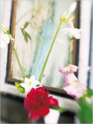 Fleurs de Tricia Guild