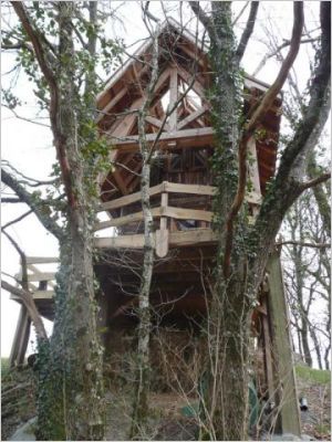 Cabane du trappeur - Lucien Cassat