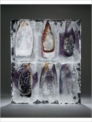 Exposition Le verre - Isabelle Monod - versailles