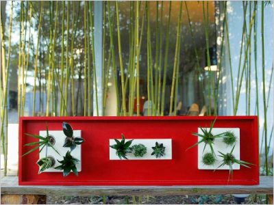 Flowerbox plante d�coration mur