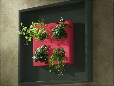 Flowerbox d�coration plante mur