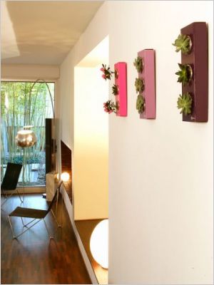 Flowerbox d�coration plante mur