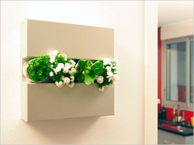 Flowerbox d�coration plante mur