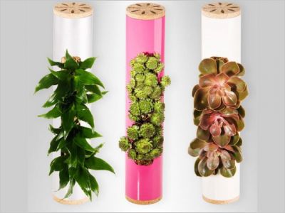 Flowerbox d�coration plante mur