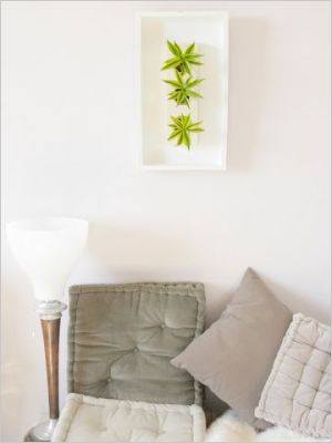 Flowerbox d�coration plante mur