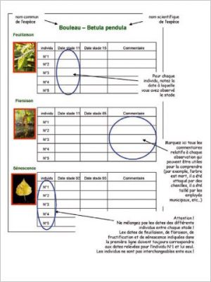 observatoire des saisons fiches