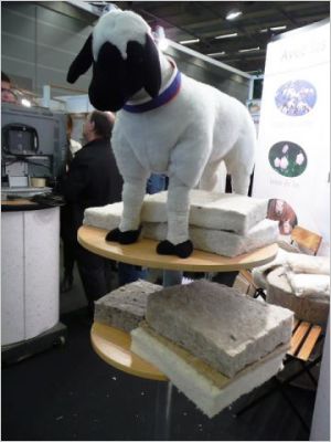 laine de mouton - La toison dor�e - salon �cobat 2008