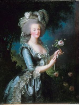 Marie Antoinette - rose - RMN