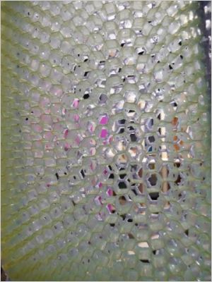 salon R�nover - mat�riaux atypiques
