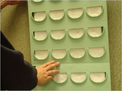 Un mur végétal à la maison Un mur végétal à la maison