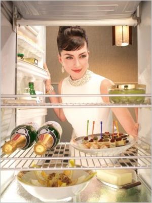Frigidaire frigo Bosch d�co travaux