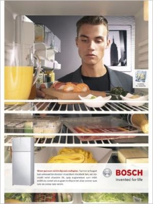 Frigidaire frigo Bosch d�co travaux