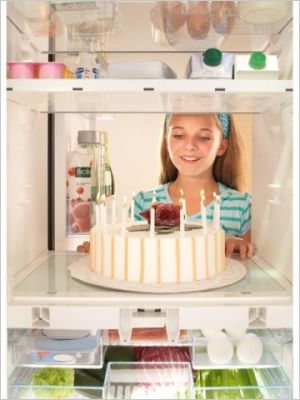 Frigidaire frigo Bosch d�co travaux