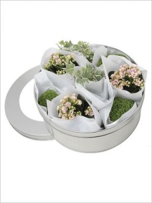Shopping - F�te des m�res