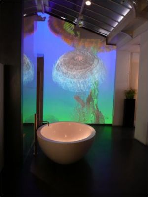 Designer's Day - Exposition Fractal Flowers