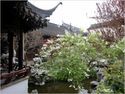 Dans la ville Chinoise - Exposition Chaillot