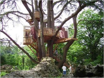 Cabane dans un arbre