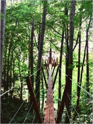 Passerelle pour atteindre la cabane
