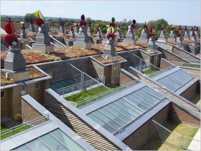Toits et jardins de BedZED