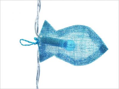 Shopping poissons - Coming B