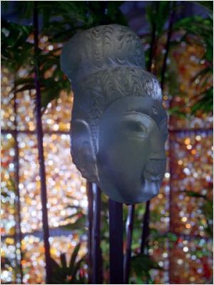 Cristal et botanique