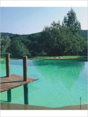Le guide des piscines naturelles et écologiques