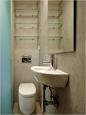 La toilette