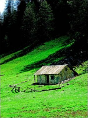 Chalet d'Alpage