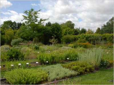 A la découverte des jardins de l\'Essonne