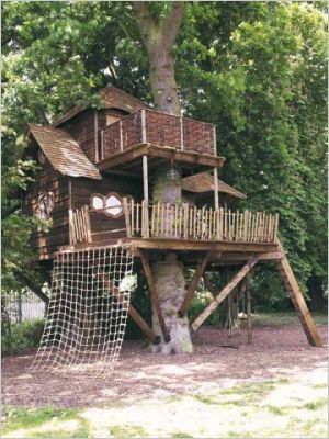 Tour du monde des cabanes dans les arbres