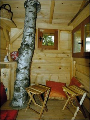 Tour du monde des cabanes dans les arbres
