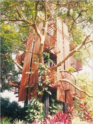 Tour du monde des cabanes dans les arbres