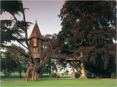 Cabane arbre