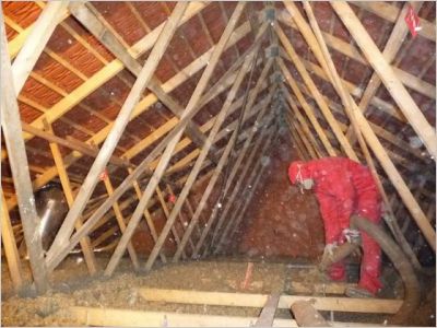 Des maisons \"vertes\" fleurissent dans le Val d’Oise