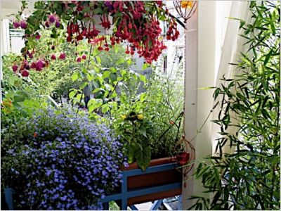 jardin suspendu Lyon