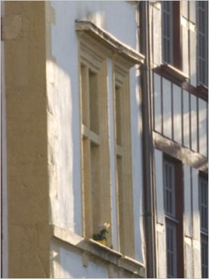 A la découverte de la maison basque