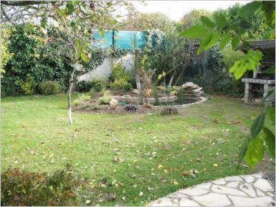 Avant/après : Un bassin pour redonner vie à un jardin