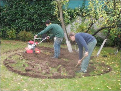 Avant/après : Un bassin pour redonner vie à un jardin