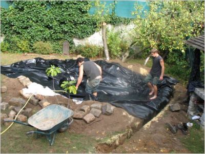 Avant/après : Un bassin pour redonner vie à un jardin